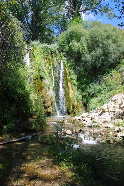 Country house El Olmo *